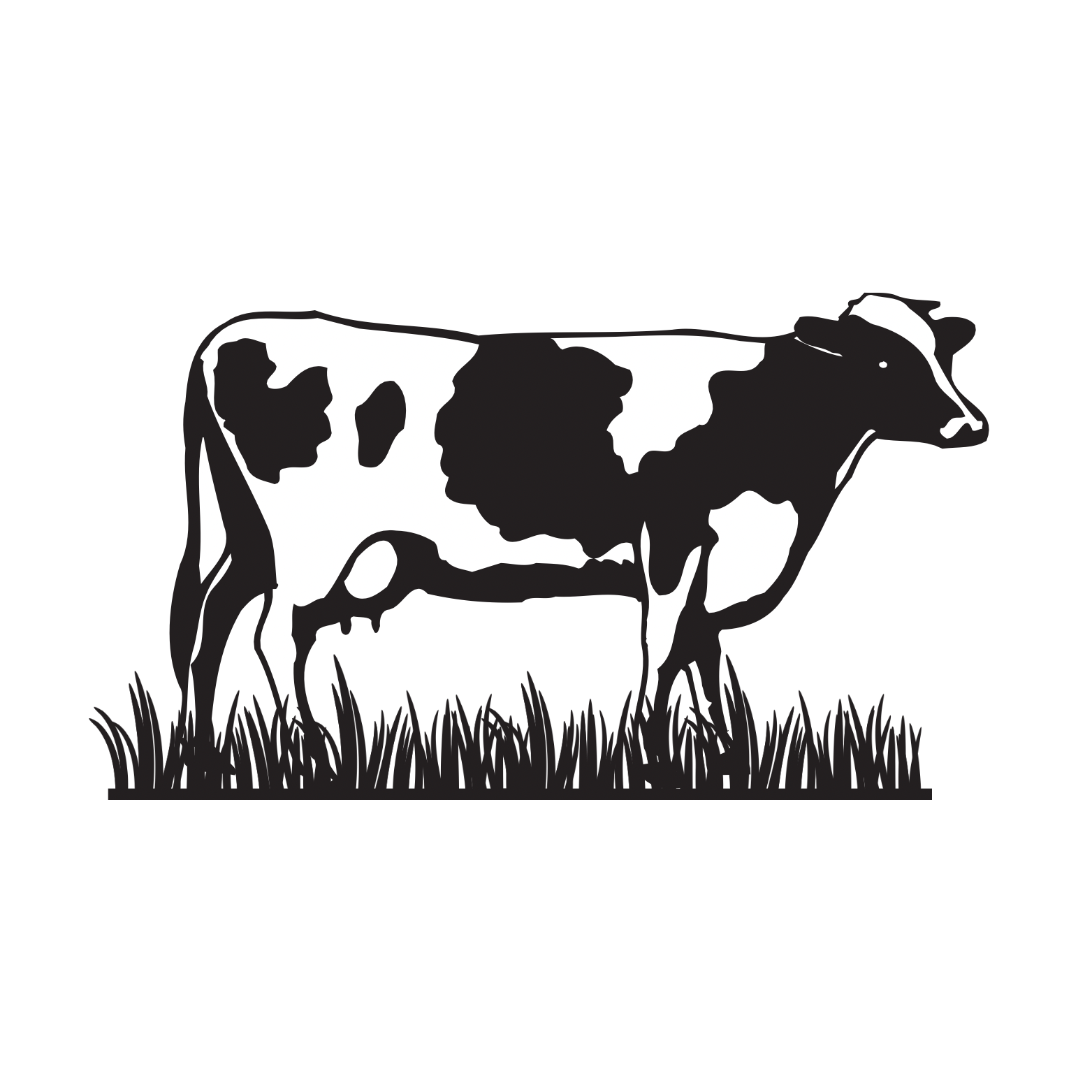 Nanma Feeds Logo
